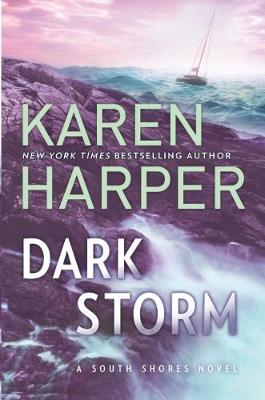 Book cover for Dark Storm