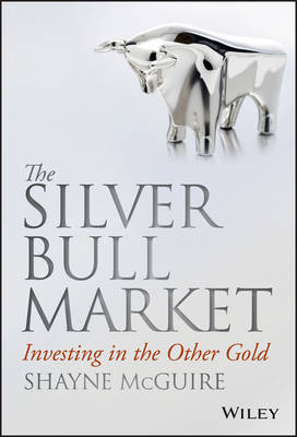Book cover for The Silver Bull Market