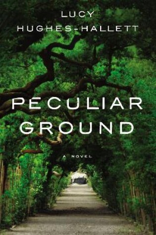 Cover of Peculiar Ground