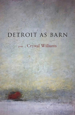 Book cover for Detroit as Barn