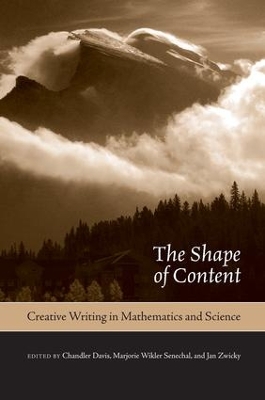 Book cover for The Shape of Content