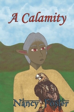 Cover of A Calamity
