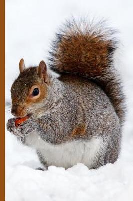 Book cover for Winter Wonderland - Squirrel Eating a Nut in the Snow