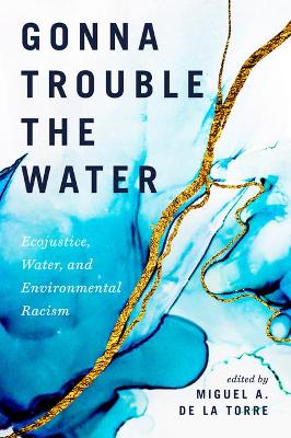 Book cover for Gonna Trouble the Water