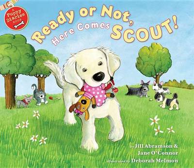 Book cover for Ready or Not, Here Comes Scout!