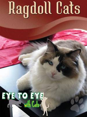 Book cover for Ragdoll Cats