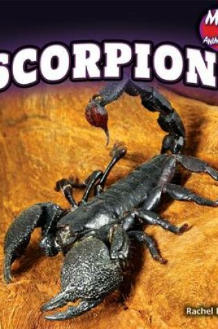 Cover of Scorpions