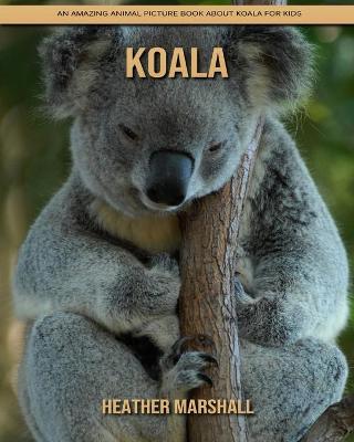 Book cover for Koala