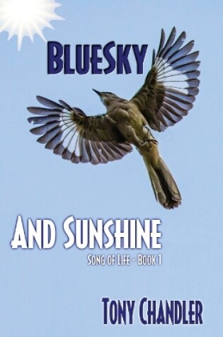 Cover of Bluesky and Sunshine