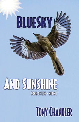 Book cover for Bluesky and Sunshine