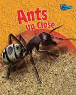 Book cover for Minibeasts Up Close Pack A of 5