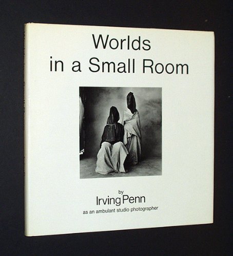 Book cover for Worlds in a Small Room