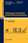 Book cover for A Minicourse on Stochastic Partial Differential Equations