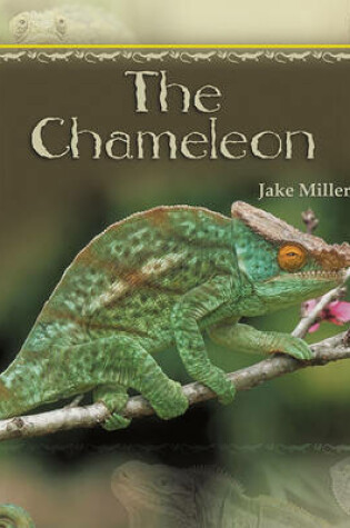Cover of The Chameleon
