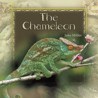 Book cover for The Chameleon