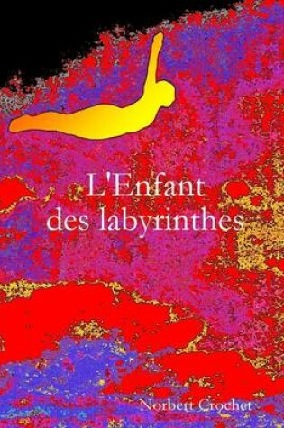 Cover of L'Enfant Des Labyrinthes