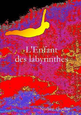 Book cover for L'Enfant Des Labyrinthes