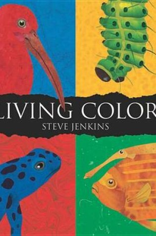Cover of Living Color