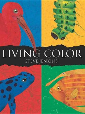 Book cover for Living Color