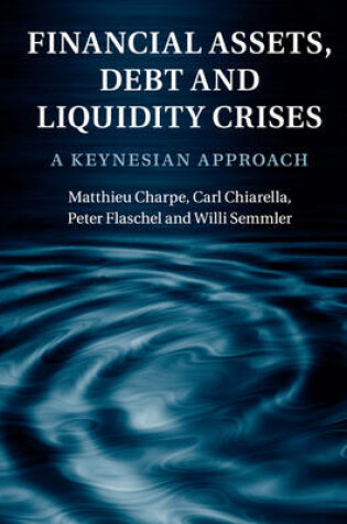 Cover of Financial Assets, Debt and Liquidity Crises