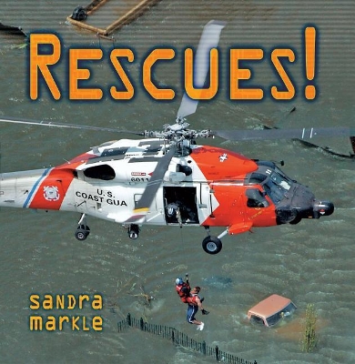 Book cover for Rescues!