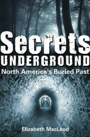 Cover of Secrets Underground