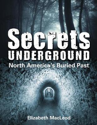 Book cover for Secrets Underground