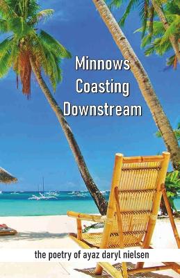 Book cover for Minnows Coasting Downstream