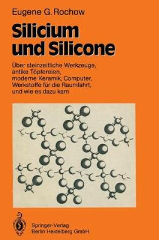 Cover of Silicium Und Silicone