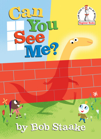 Book cover for Can You See Me?