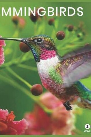 Cover of hummingbird 2021 Wall Calendar