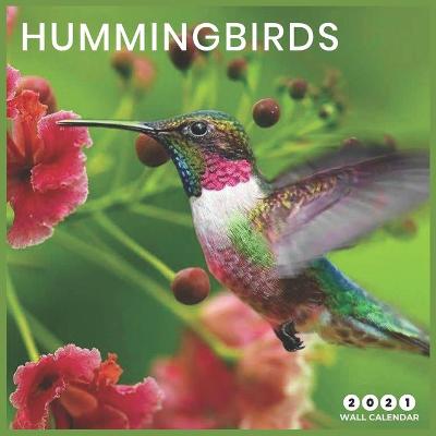 Book cover for hummingbird 2021 Wall Calendar