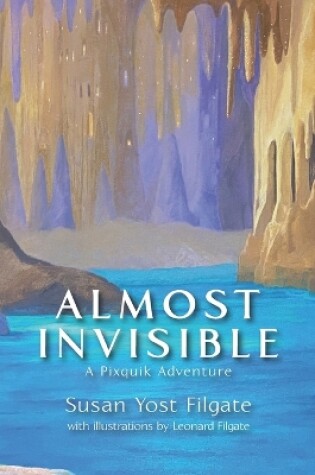 Cover of Almost Invisible