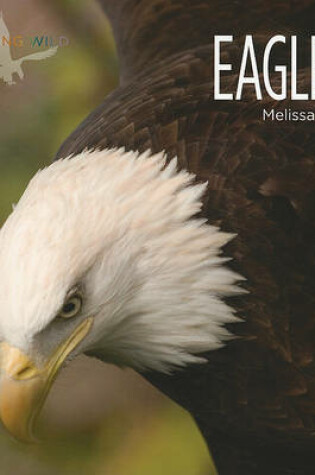 Cover of Eagles