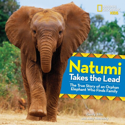 Book cover for Natumi Takes the Lead