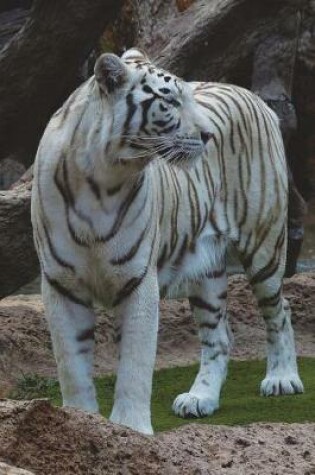 Cover of The White Bengal Tiger Journal