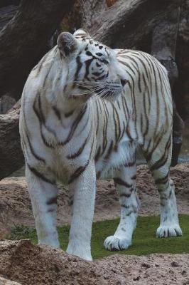 Book cover for The White Bengal Tiger Journal