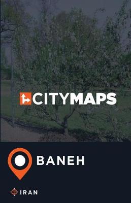 Book cover for City Maps Baneh Iran