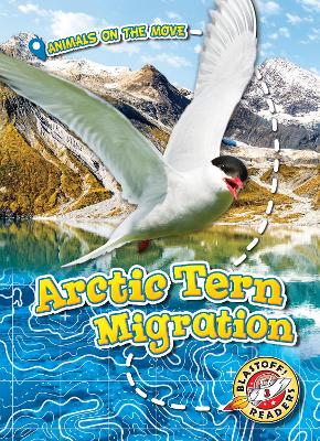 Cover of Arctic Tern Migration