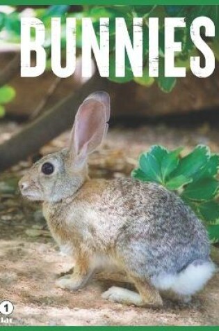 Cover of Bunnies