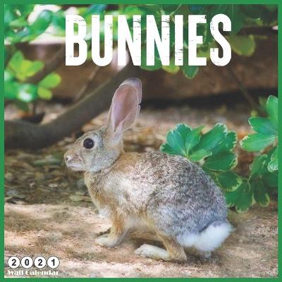 Book cover for Bunnies