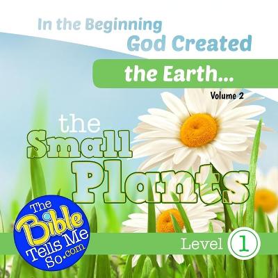 Book cover for In the Beginning God Created the Earth - The Small Plants