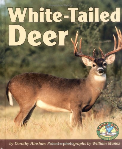 Cover of White-Tailed Deer