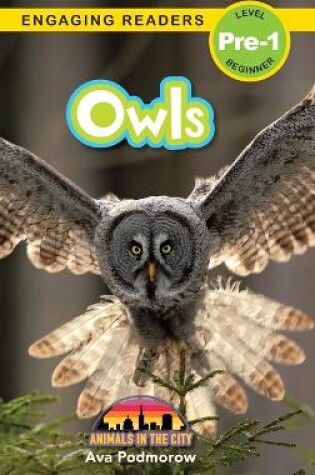 Cover of Owls