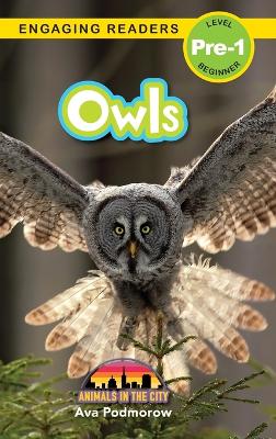 Book cover for Owls