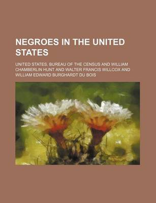 Book cover for Negroes in the United States