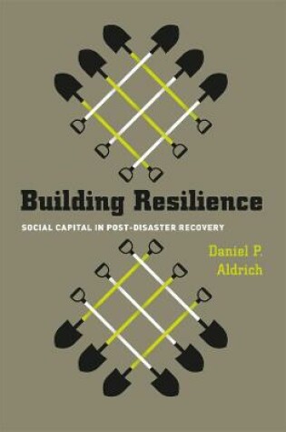 Cover of Building Resilience