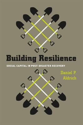 Cover of Building Resilience