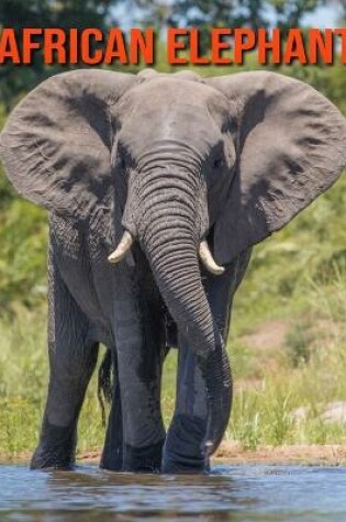 Cover of African Elephant