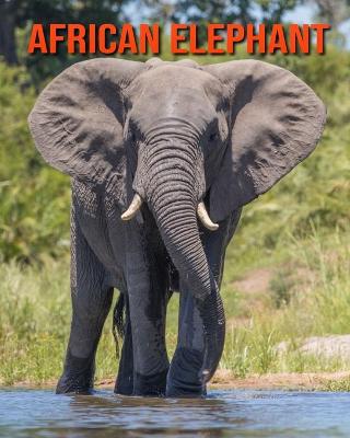 Book cover for African Elephant